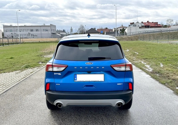 Ford Kuga cena 76999 przebieg: 8000, rok produkcji 2019 z Skórcz małe 67